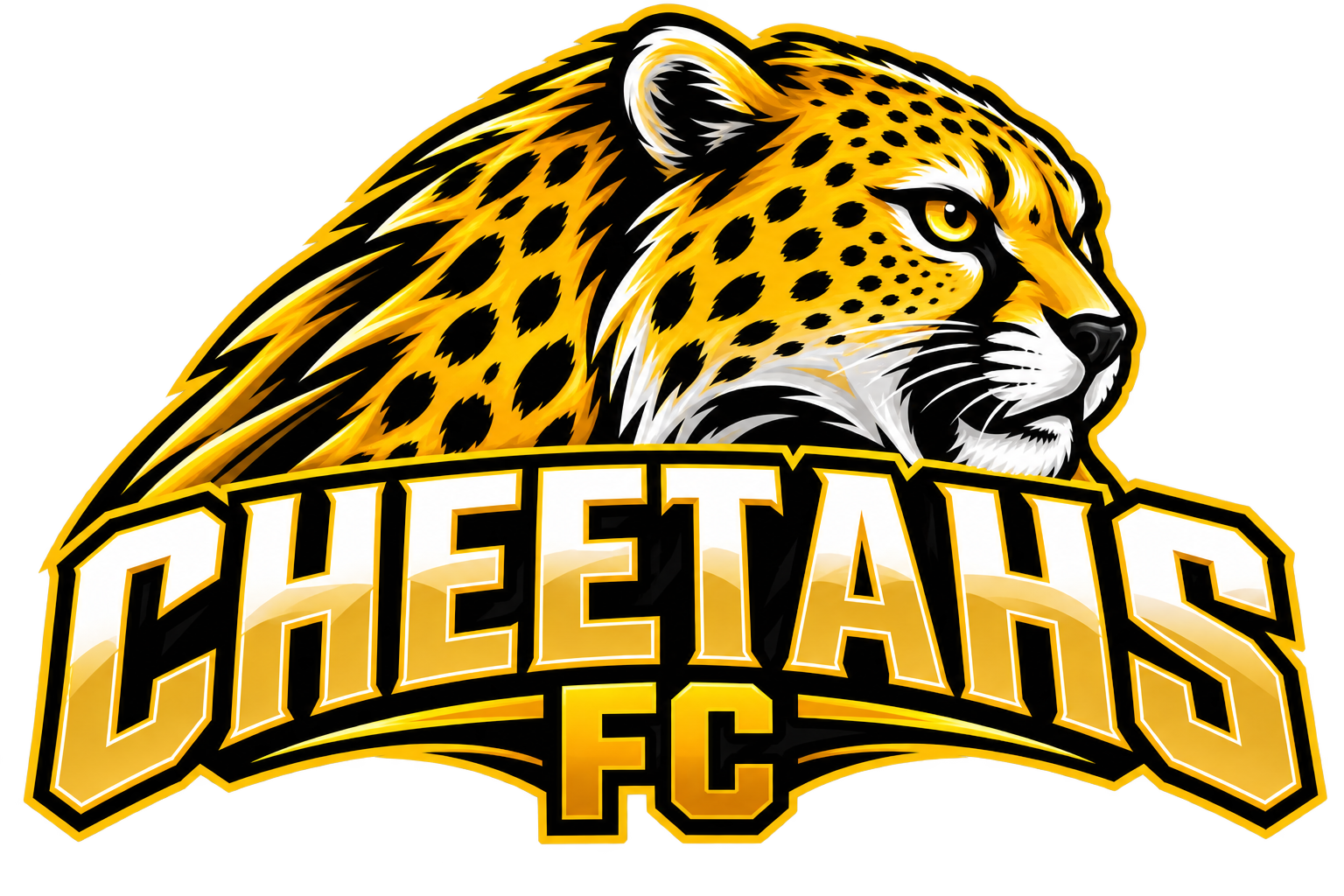 Cheetahs logo
