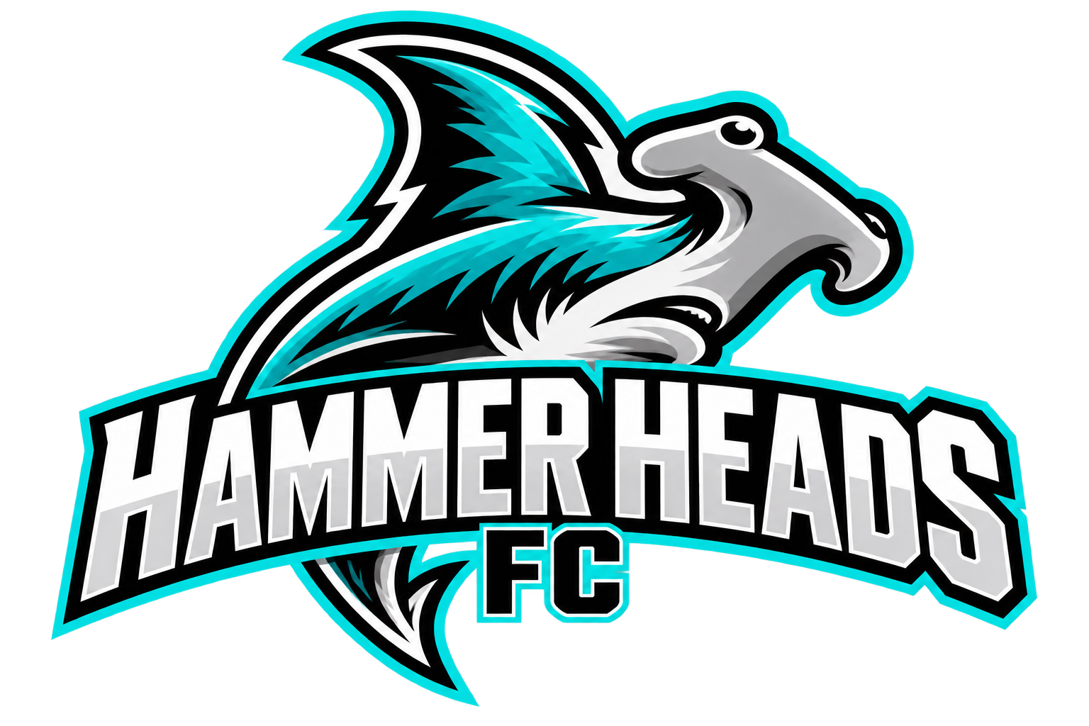 Hammer Heads logo
