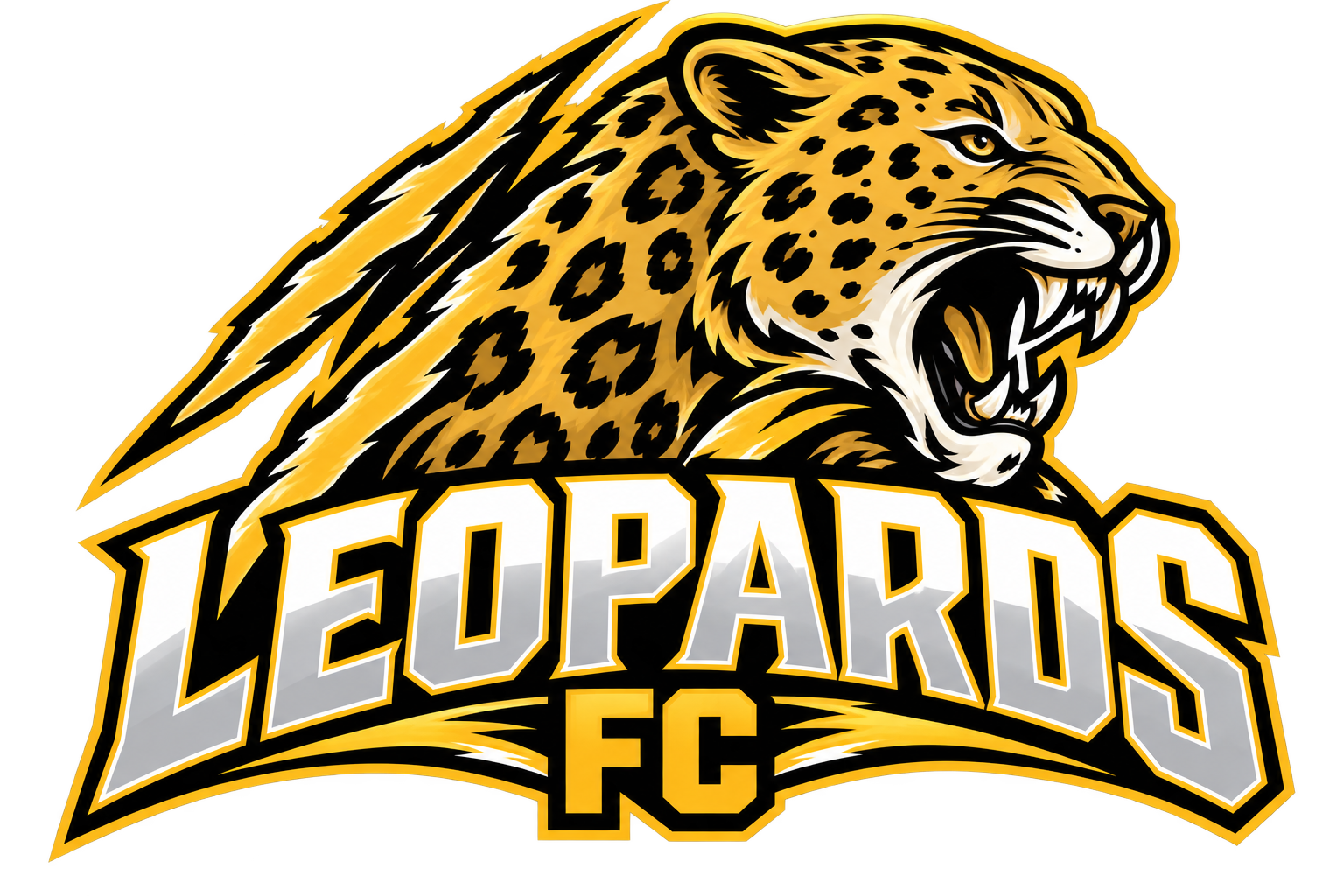 Leopards logo