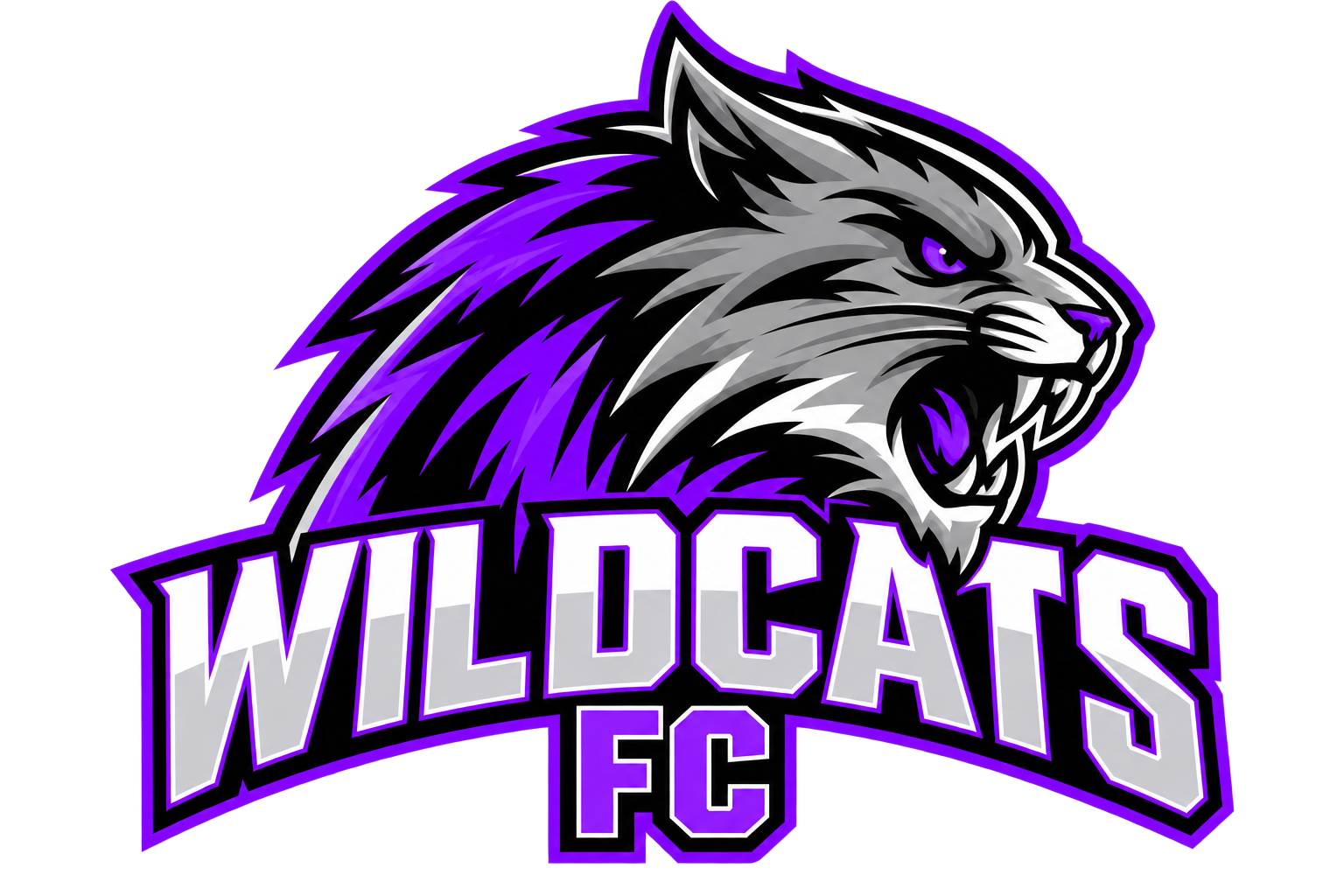 Wildcats logo